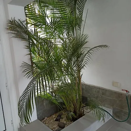 아파트 Bruna's House 아데제