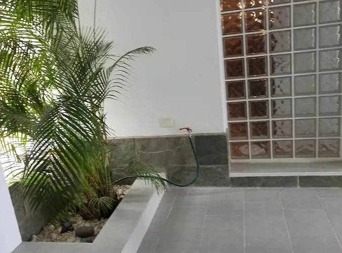 Bruna's House